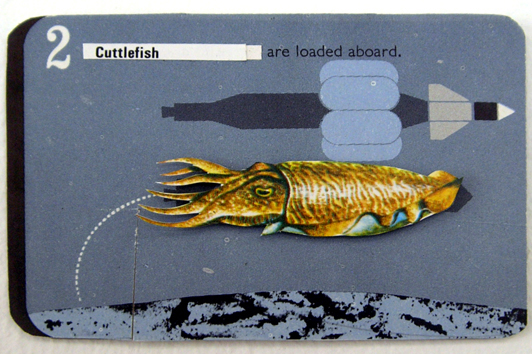 02 cuttlefish loaded