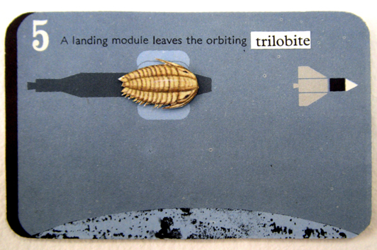 05 trilobite