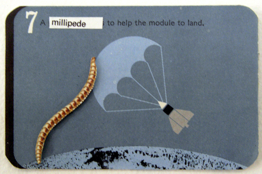 07 millipede to help