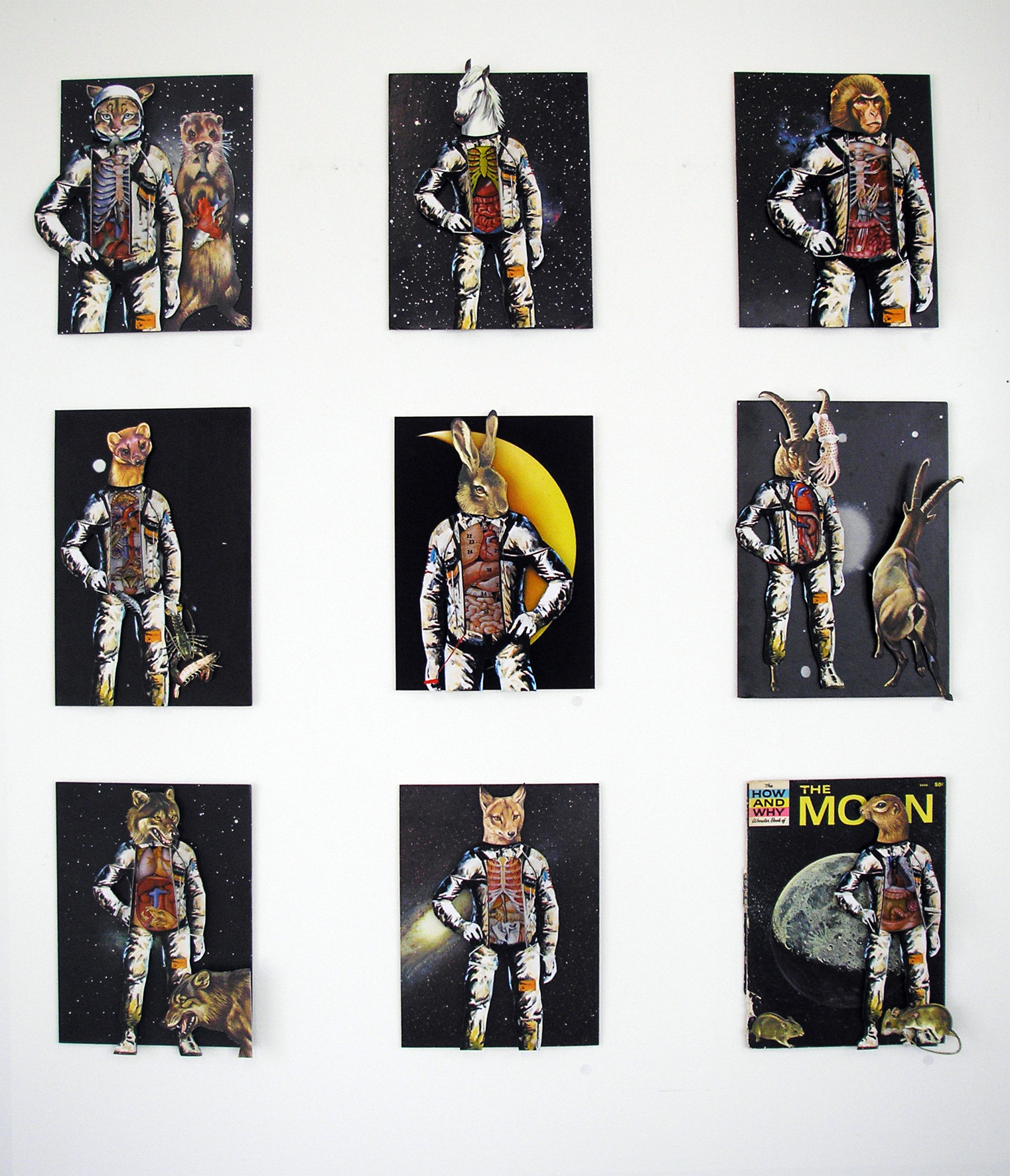 installation shot05a