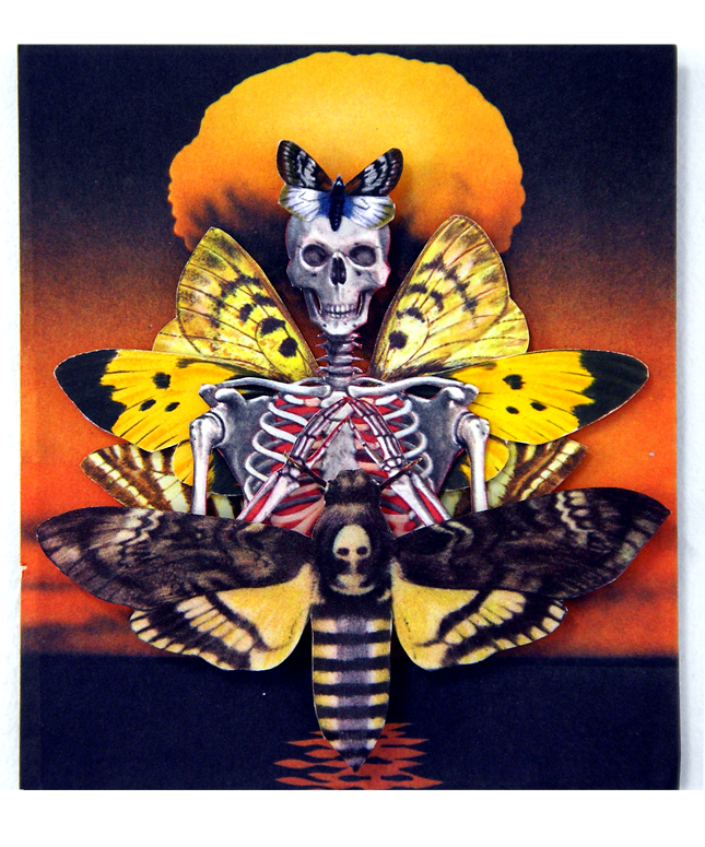 wings and bones atomic