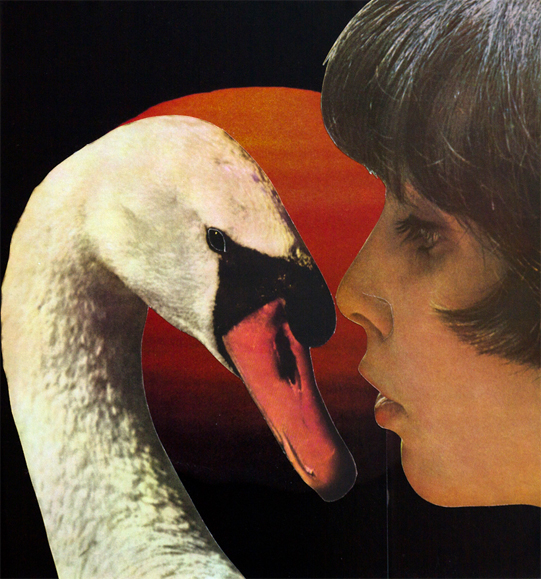 LucyDyson_SwanLove2012