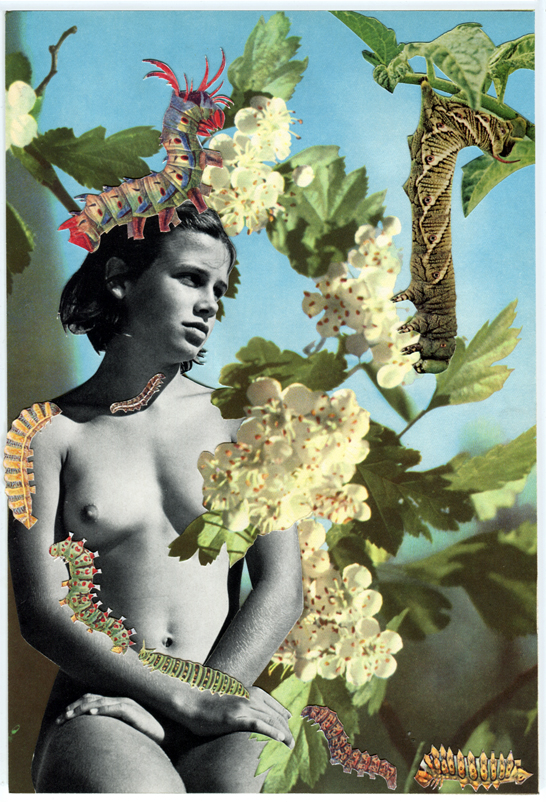 LucyDyson_Woman(blossoms)2012