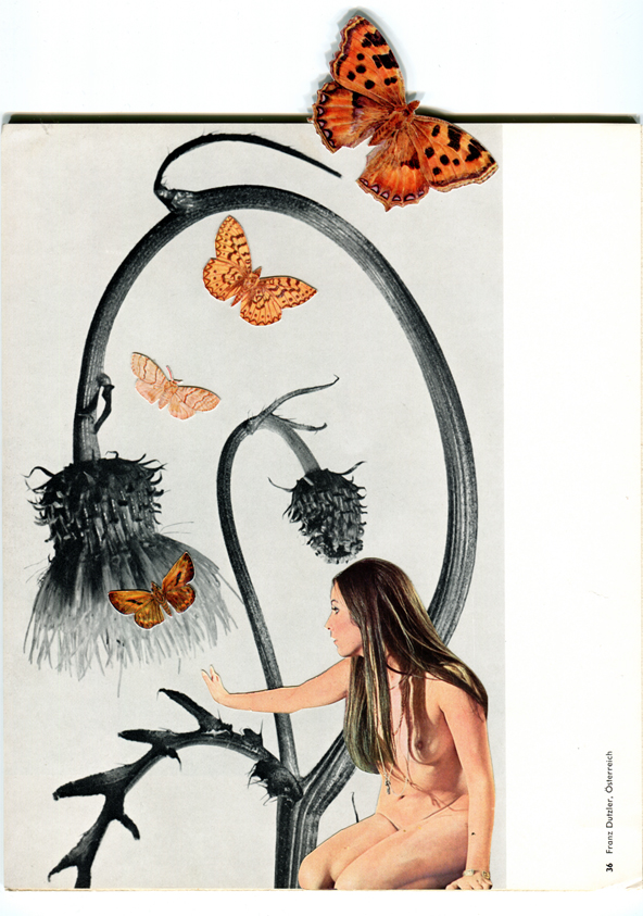 LucyDyson_Woman(Thistle)2012