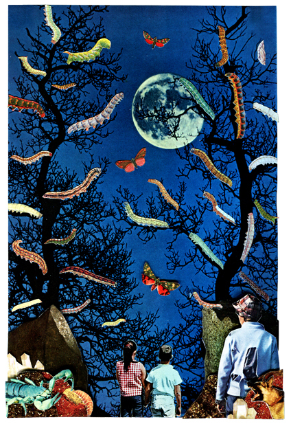 "Untitled #1, Lucy Dyson, 2011"