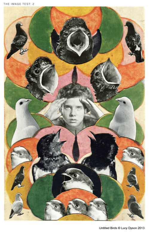 PigeonGuilt_LucyDyson