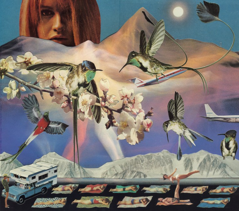 Lucy Dyson hummingbirds