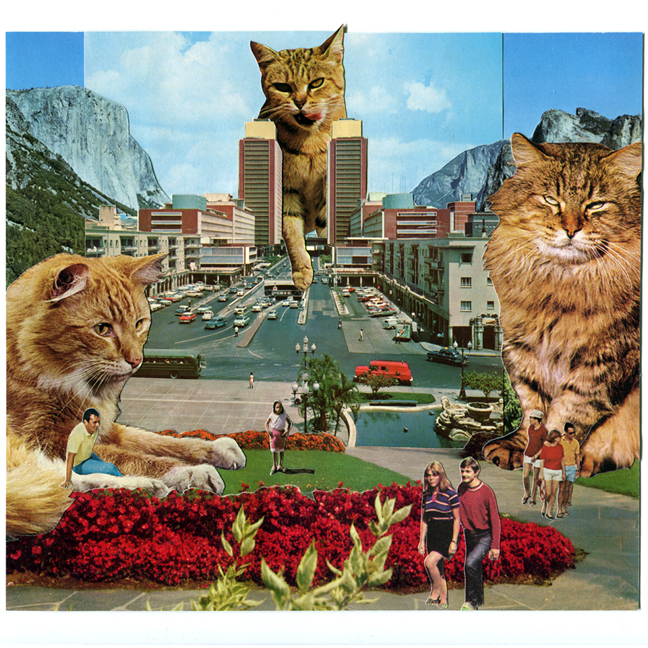 LucyDyson_BigCats_2014