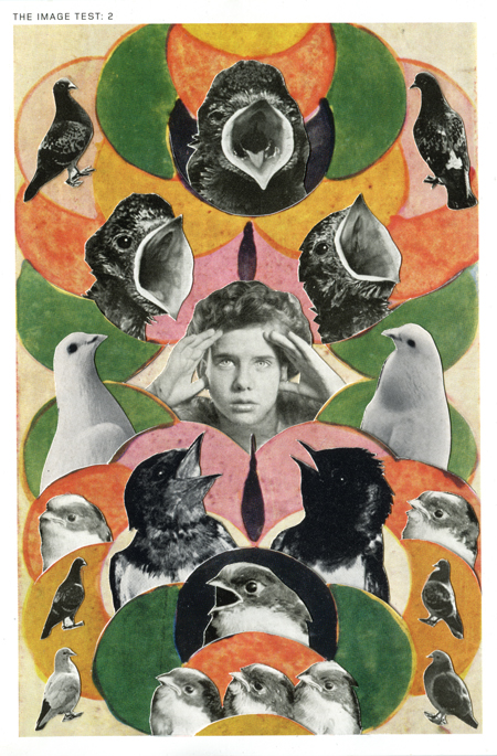 LucyDyson_Birds_2013