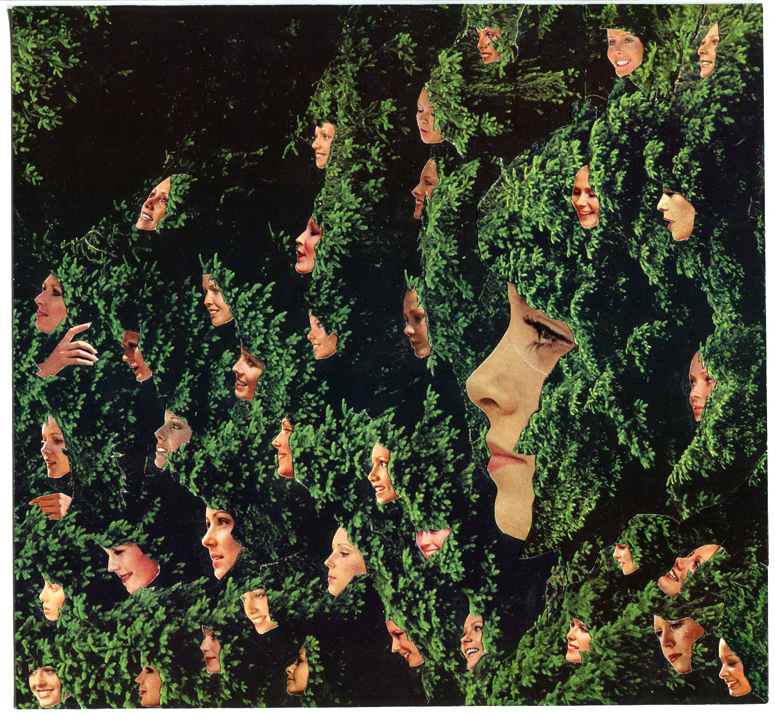 LucyDyson_FoilageWomen_2013