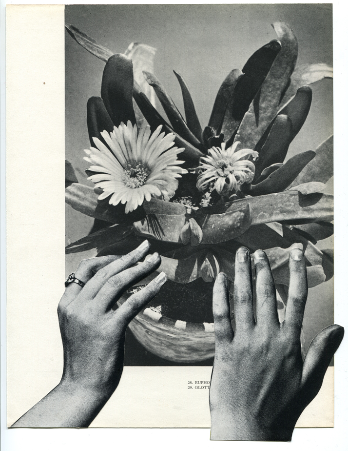 LucyDyson_PlanzenFrau_2013