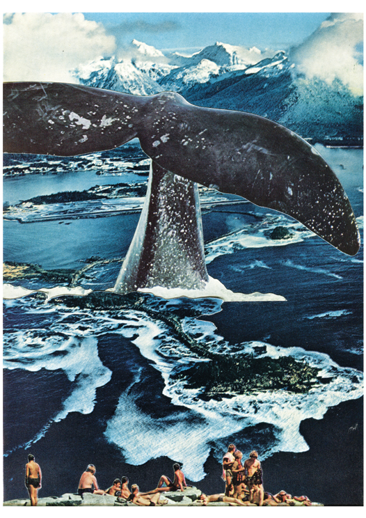 LucyDyson_WhaleWatchers_2015